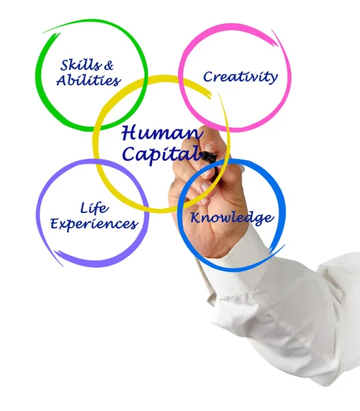 Human capital — Stock Photo, Image