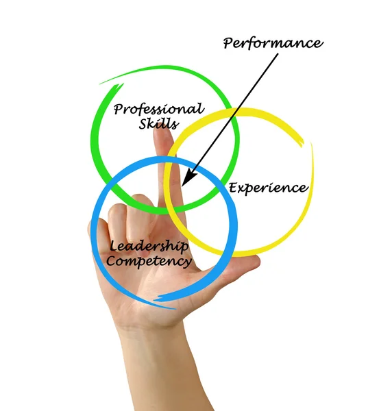 Diagrama del rendimiento — Foto de Stock