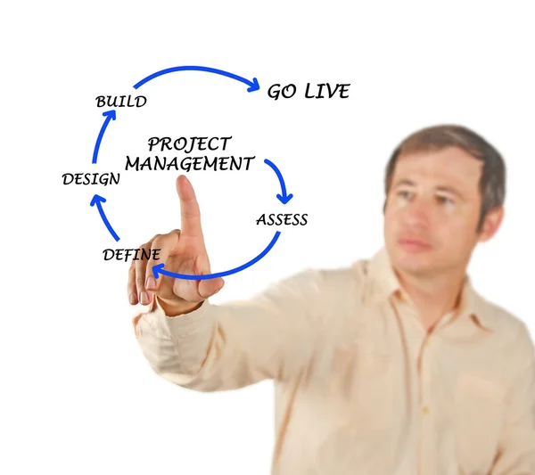 Project management — Stock Photo, Image