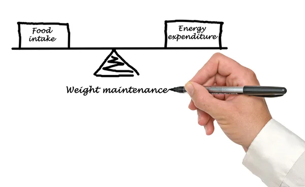 Balans mellan energiintag och energiförbrukning — Stockfoto