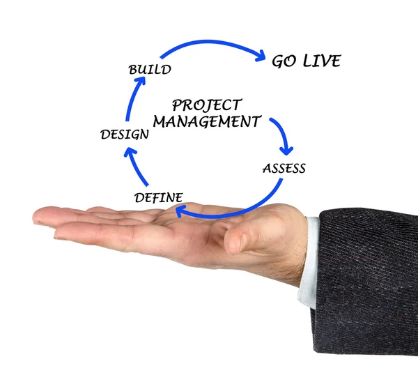 Project management — Stock Photo, Image