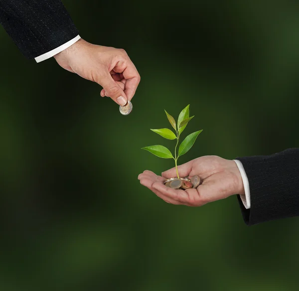 Investing to green business — Stock Photo, Image