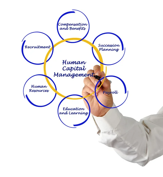 Human Capital Management — Stock Photo, Image