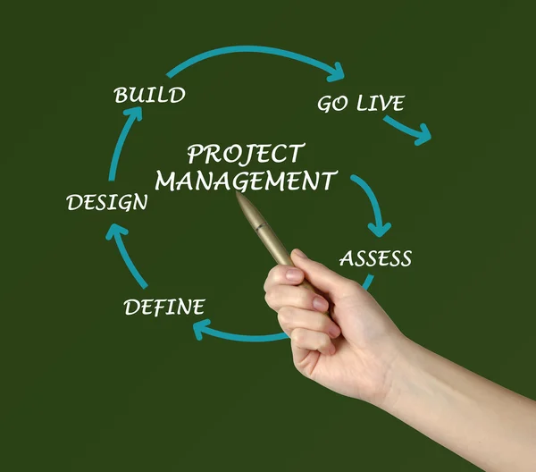 Project management — Stock Photo, Image