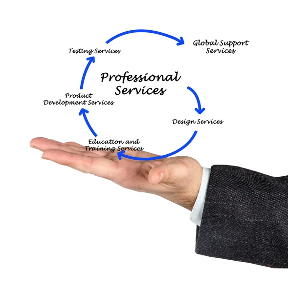 Diagram of professional services — Stock Photo, Image