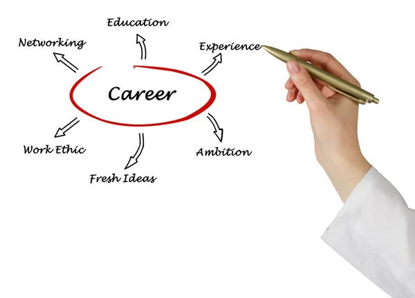 Diagram of career success — Stock Photo, Image