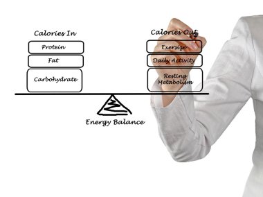 enerji alımı ve enerji harcama denge