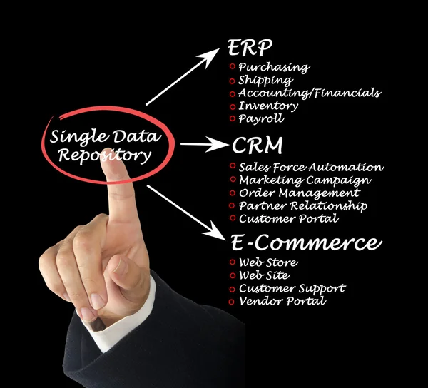 Single Data Repository — Stock Photo, Image