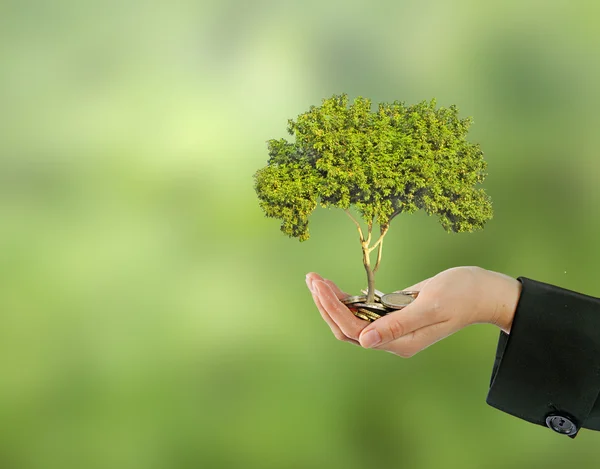 Investing to green business — Stock Photo, Image