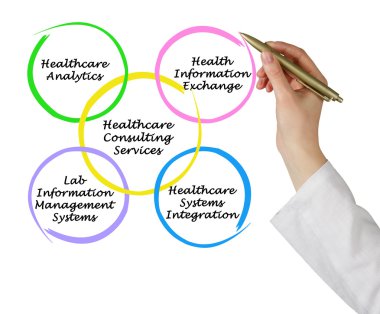 Sağlık danışmanlık hizmetleri