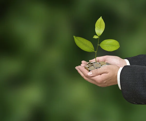 Investitionen in grüne Unternehmen — Stockfoto