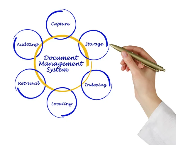 DMS diagram — Stockfoto