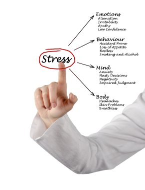 Diyagram stres sonuçları