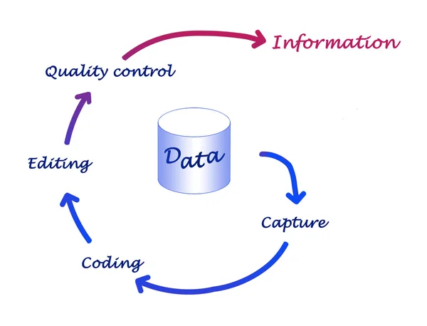 Data processing — Stock Photo, Image