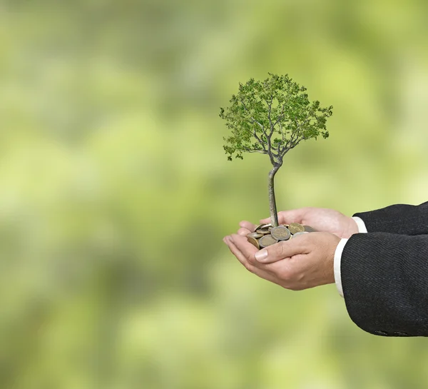 Invertir en empresas ecológicas — Foto de Stock