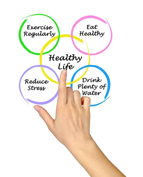 Sağlıklı Yaşam Diyagramı — Stok fotoğraf