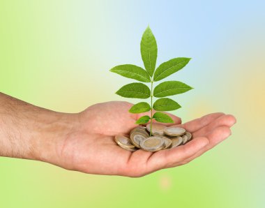 yeşil iş yatırım