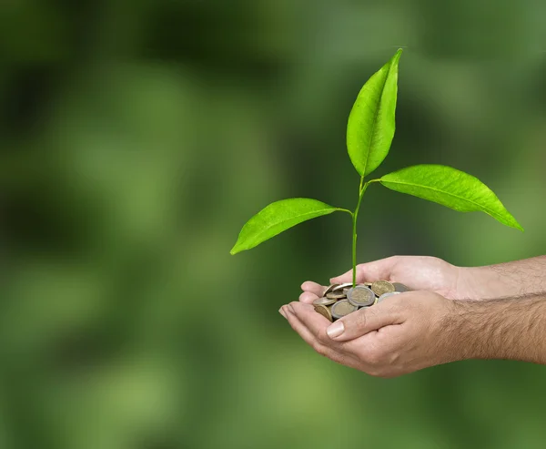 Investing to green business — Stock Photo, Image