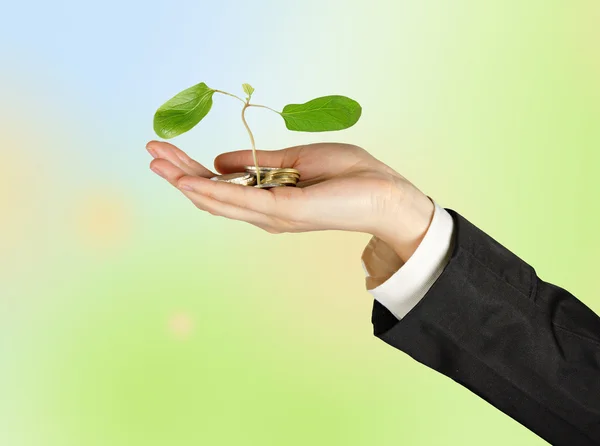 Інвестиції в зелений бізнес — стокове фото