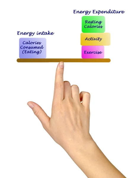 エネルギー摂取量とエネルギー消費量との間のバランスをとる — ストック写真
