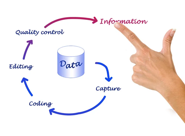 Data processing — Stock Photo, Image