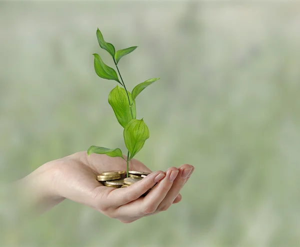 Invertir en empresas ecológicas — Foto de Stock