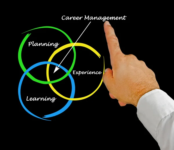 Diagrama de gestión de carrera — Foto de Stock