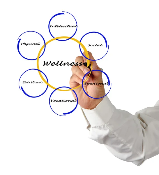 Diagram över wellness — Stockfoto