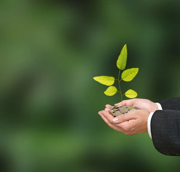 Investing to green business — Stock Photo, Image