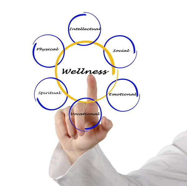 Diagram of wellness — Stock Photo, Image