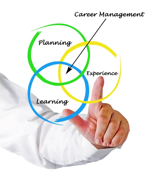Diagrama de gestión de carrera —  Fotos de Stock