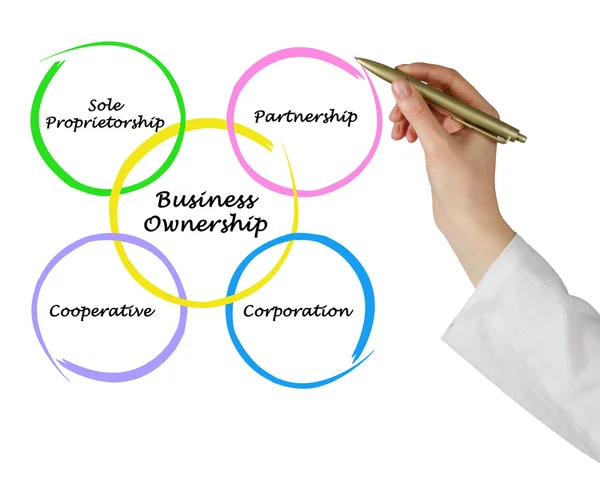 Business ownership — Stock Photo, Image