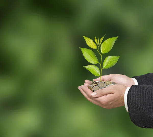 Investing to green business — Stock Photo, Image