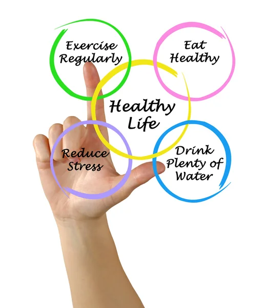 Diagram of healthy life — Stock Photo, Image