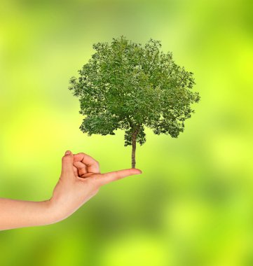 ağaç üstünde parmak