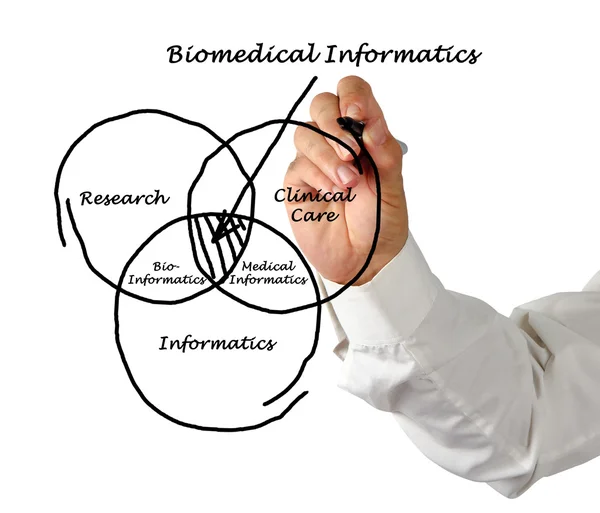 Informática biomédica —  Fotos de Stock