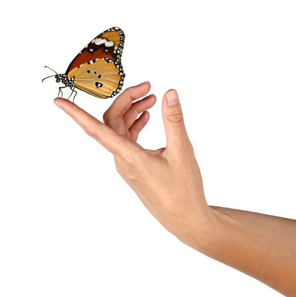 Butterfly on hand — Stock Photo, Image