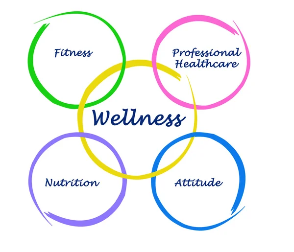 Diagrama de wellness — Fotografie, imagine de stoc