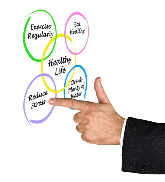 Diagram of healthy life — Stock Photo, Image