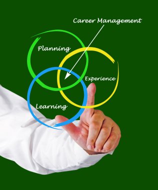 Kariyer Yönetim şeması