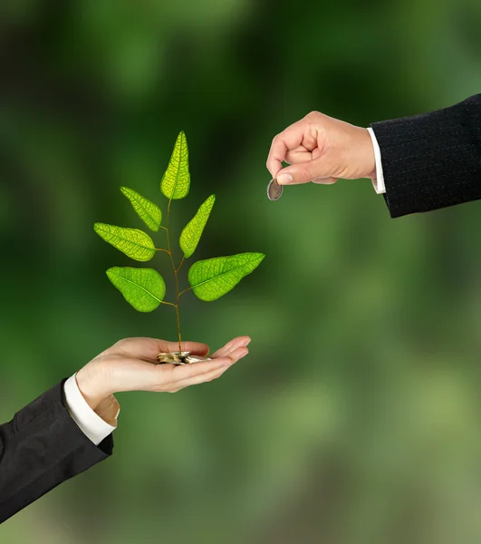 Investing to green business — Stock Photo, Image