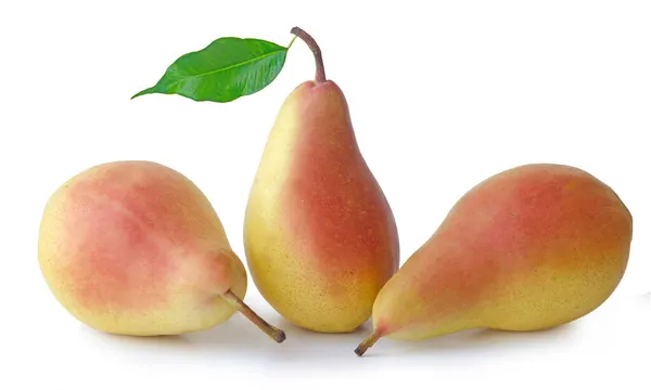 Close Three Pears Isolated White — Stock Photo, Image