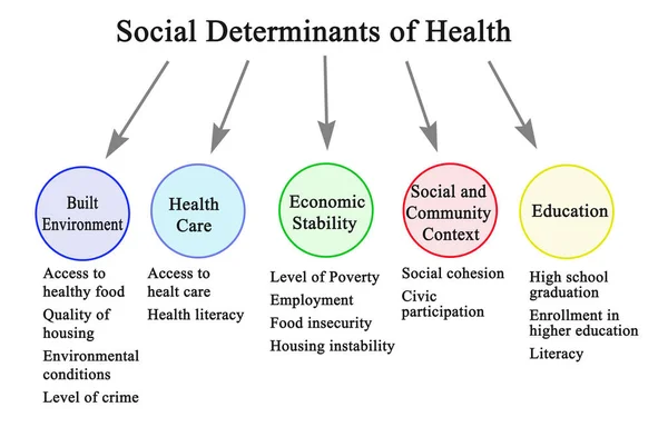 Ять Соціальних Детермінант Здоров — стокове фото