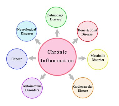 Seven Consequences of Chronic Inflammation clipart