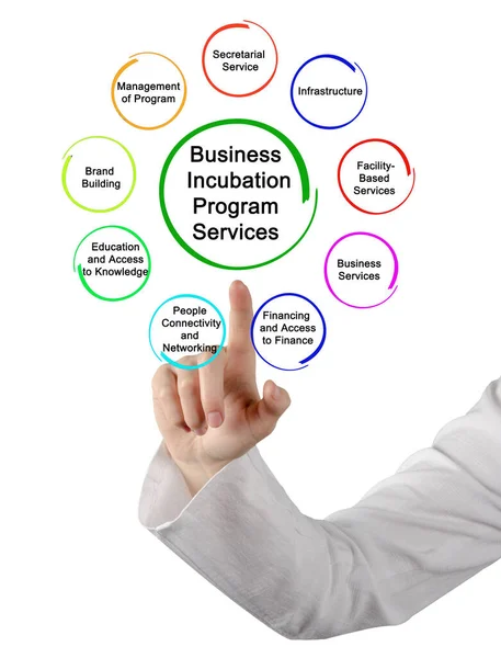 Nine Business Incubation Program Services — Stock Photo, Image