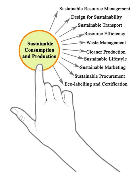 Stimulerende Factoren Voor Duurzame Consumptie Productie — Stockfoto