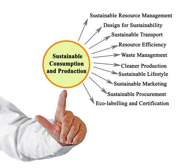 Drivers Sustainable Consumption Production — Stock Photo, Image