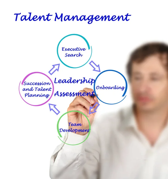 Fyra Komponenter Talent Management — Stockfoto