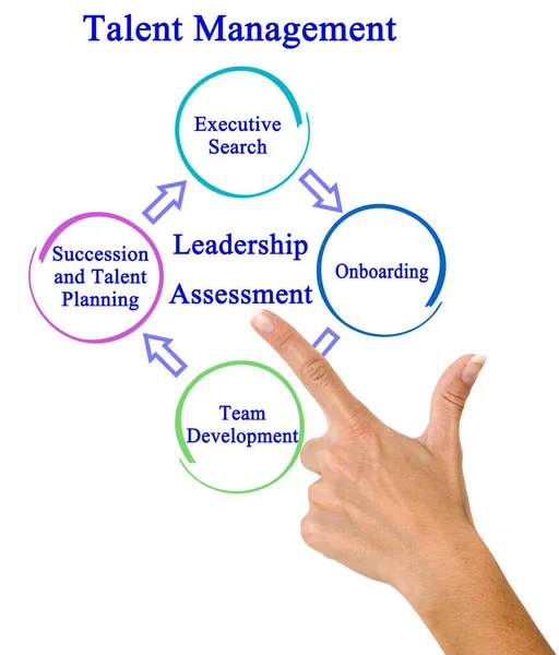Four Components Talent Management — Stock Photo, Image