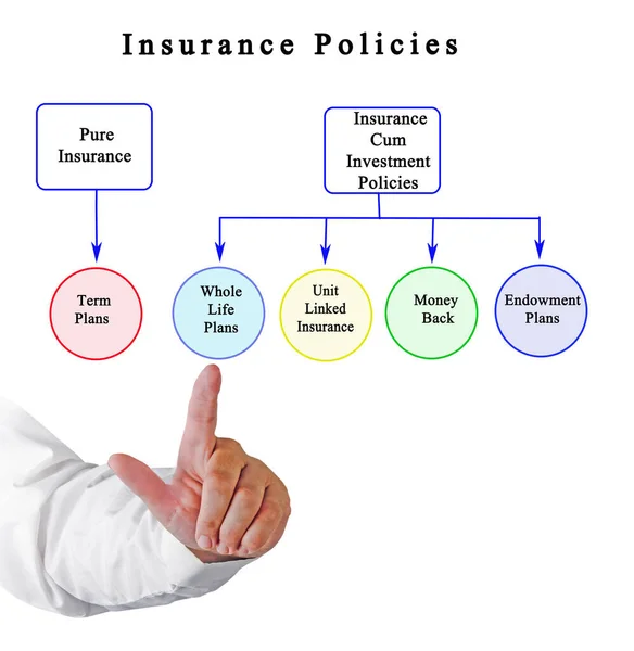 Five Types Insurance Policie — Stock Photo, Image